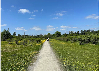 Bellevue Hiking Trails Lake Hills Greenbelt