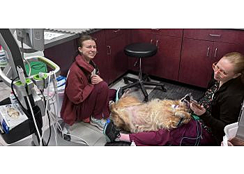 Lansing Veterinary Clinics Lake Lansing Road Animal Clinic and Pet Resort