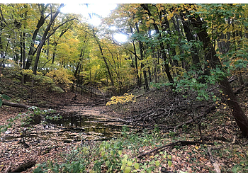 Cedar Rapids Hiking Trails Lake Macbride State Park