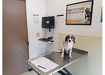Kent Veterinary Clinics Lake Meridian Animal Hospital
