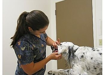 Kent Veterinary Clinics Lake Meridian Animal Hospital
