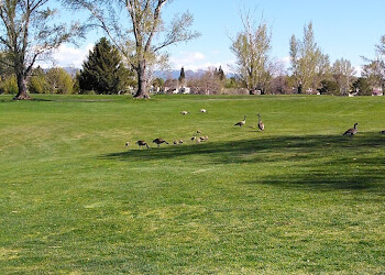 LakeRidge Golf Course Reno Golf Courses