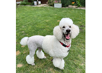 Plano Pet Grooming Lakeside Pet