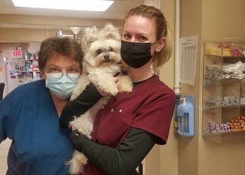 Madison Veterinary Clinics Lakeview Veterinary Clinic