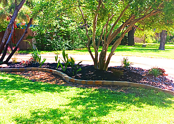 Denton Landscaping Companies Landscape Living