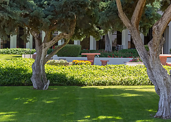 Tucson Landscaping Companies Landtamers Landscaping