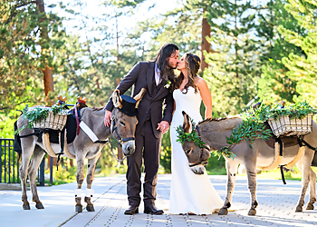 Fort Collins Wedding Photographers Lara Photography