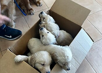 Laredo Veterinary Clinics Laredo Animal Clinic