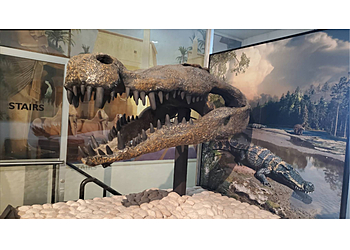 Las Vegas Museums Las Vegas Natural History Museum