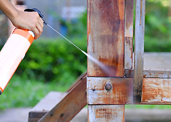 Newark Pest Control Companies Last Stop Pest Control