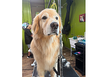 Pittsburgh Pet Grooming Lather. A Pet Bathhouse