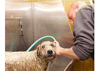 Cambridge Pet Grooming LaundroMutt