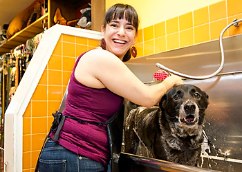 Cambridge Pet Grooming LaundroMutt