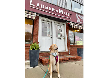 LaundroMutt Cambridge Pet Grooming