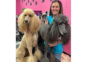 Austin Pet Grooming Laura’s Doggie Doo’s