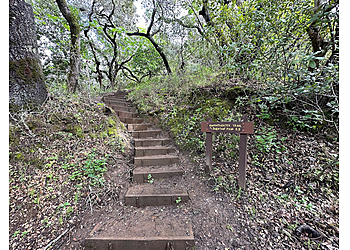San Mateo Hiking Trails Laurelwood/Sugarloaf Park