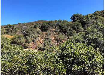 San Mateo Hiking Trails Laurelwood/Sugarloaf Park