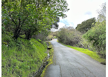 Laurelwood/Sugarloaf Park San Mateo Hiking Trails image 1