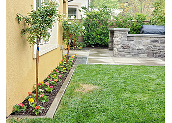 Santa Ana Lawn Care Services Lawn By Twins