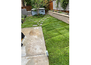 Santa Ana Lawn Care Services Lawn By Twins