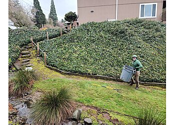 Portland Lawn Care Services Lawn Care Best Yard & Construction LLC