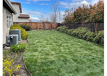 Sacramento Lawn Care Services Lawn Care Up