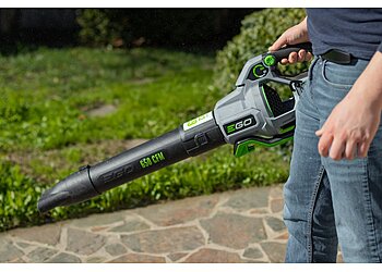 Sacramento Lawn Care Services Lawn Care Up