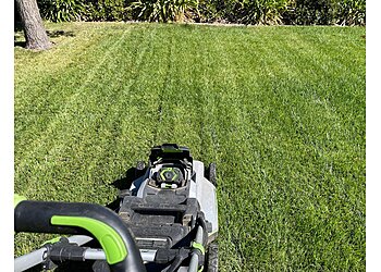 Lawn Care Up Sacramento Lawn Care Services image 1