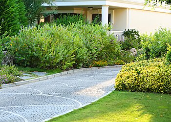 Vancouver Lawn Care Services Lawn Care by Dan LLC