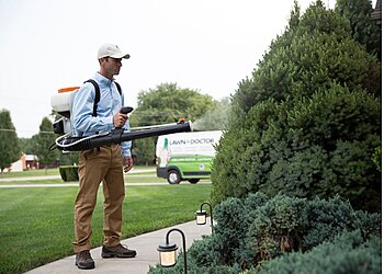 Miami Lawn Care Services Lawn Doctor