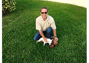 Miami Lawn Care Services Lawn Doctor