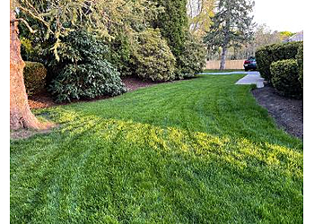 Providence Lawn Care Services Lawn Doctor