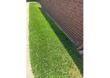 Waco Lawn Care Services Lawn Doctor