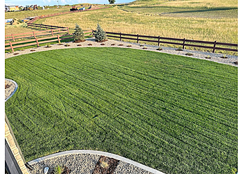 Fort Collins Lawn Care Services Lawn Doctor Fort Collins