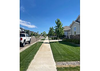 Fort Collins Lawn Care Services Lawn Doctor Fort Collins