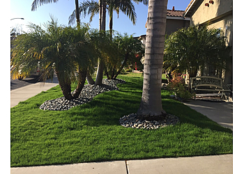 Oceanside Lawn Care Services Lawn Doctor Inc.