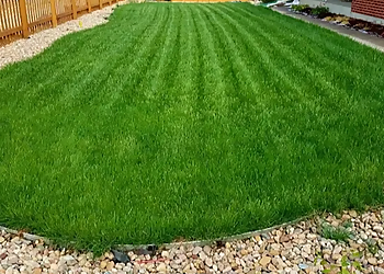 Lawn Doctor Lakewood - Lakewood, CO Lawn Care Services
