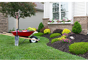 Detroit Lawn Care Services Lawn Kingz Lawn Service Detroit