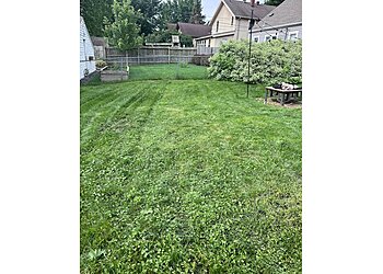 Austin Lawn Care Services Lawn Love