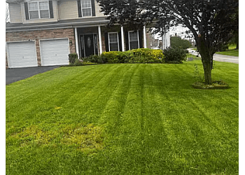 Lawn Love - Baltimore, MD Lawn Care Services - Job Site Image