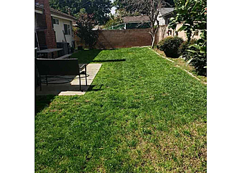 Irvine Lawn Care Services Lawn Love Lawn Care