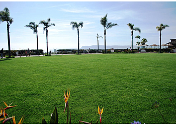 Norfolk Lawn Care Services Lawn Love Lawn Care