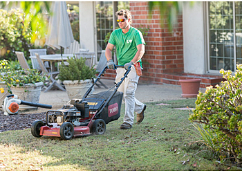 Lawn Love Lawn Care Norfolk Lawn Care Services image 1