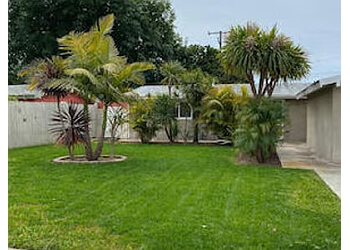 Lawn Love Lawn Care of Orange County - Orange, CA Lawn Care Services - Job Site Image