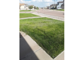 San Diego Lawn Care Services Lawn Love 