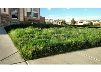 San Diego Lawn Care Services Lawn Love 