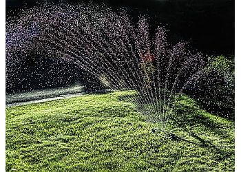 Lawn Love Lawn Care - Santa Ana, CA Lawn Care Services - Job Site Image