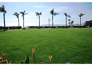 Lawn Love Lawn Care - Santa Ana, CA Lawn Care Services - Project Completion Image