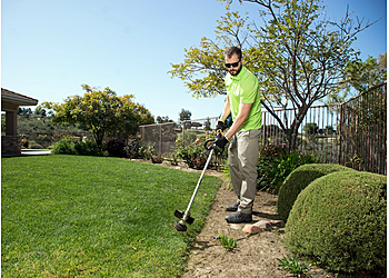 Tampa Lawn Care Services Lawn Love Lawn Care