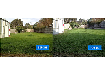 Lawn Love Lawn Care of Akron - Akron, OH Lawn Care Services - Service Image